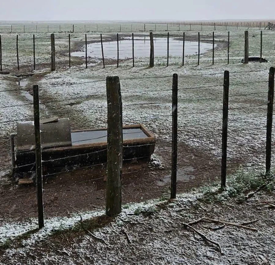 NIEVE SUR CORDOBES 1