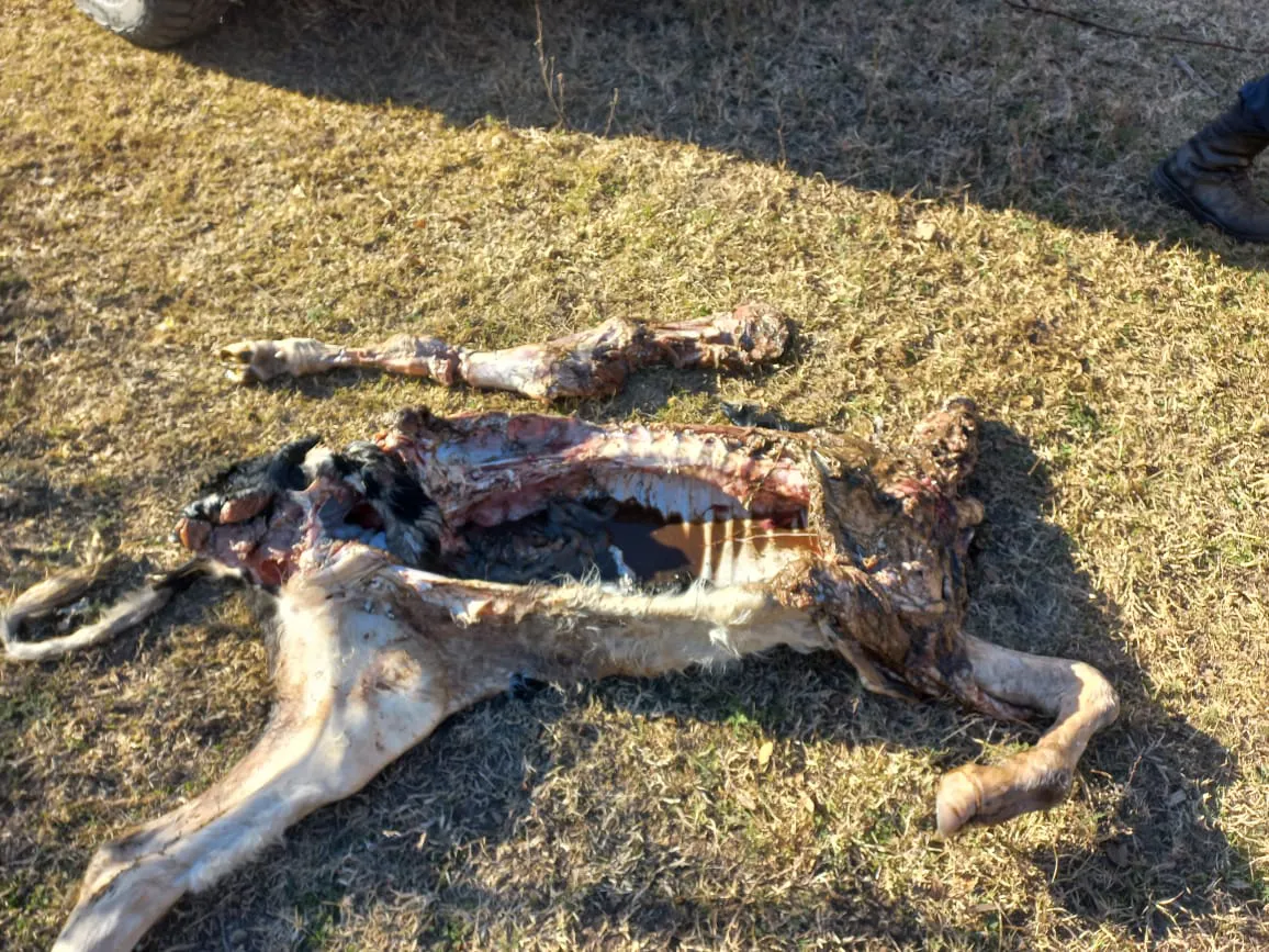 9e302057-1640-49df-9610-ad16c02ea459