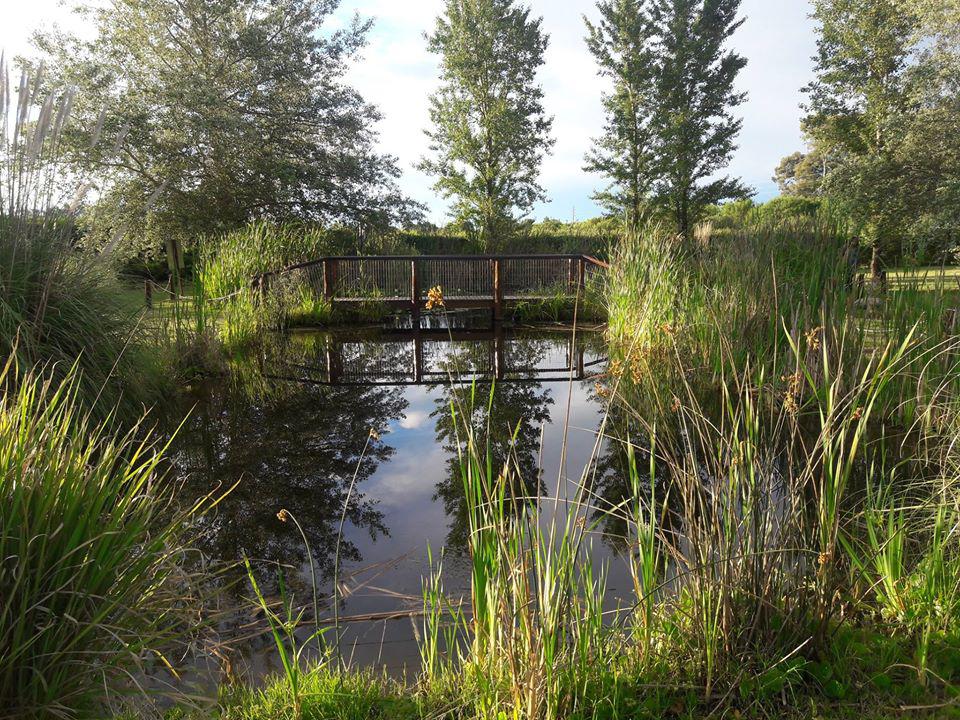 Laguna Jardín Botánico Provincial