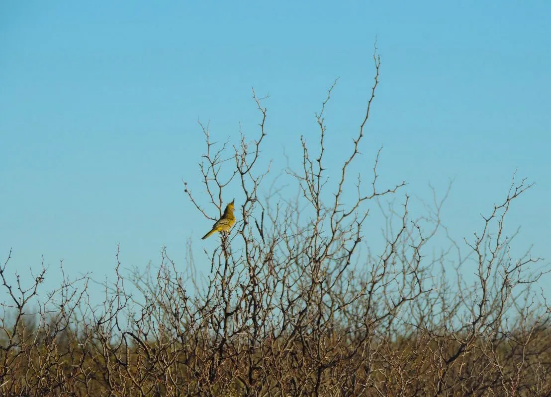 188427_5f1f3429-dda5-4e40-a4c6-3f8834d02ca1