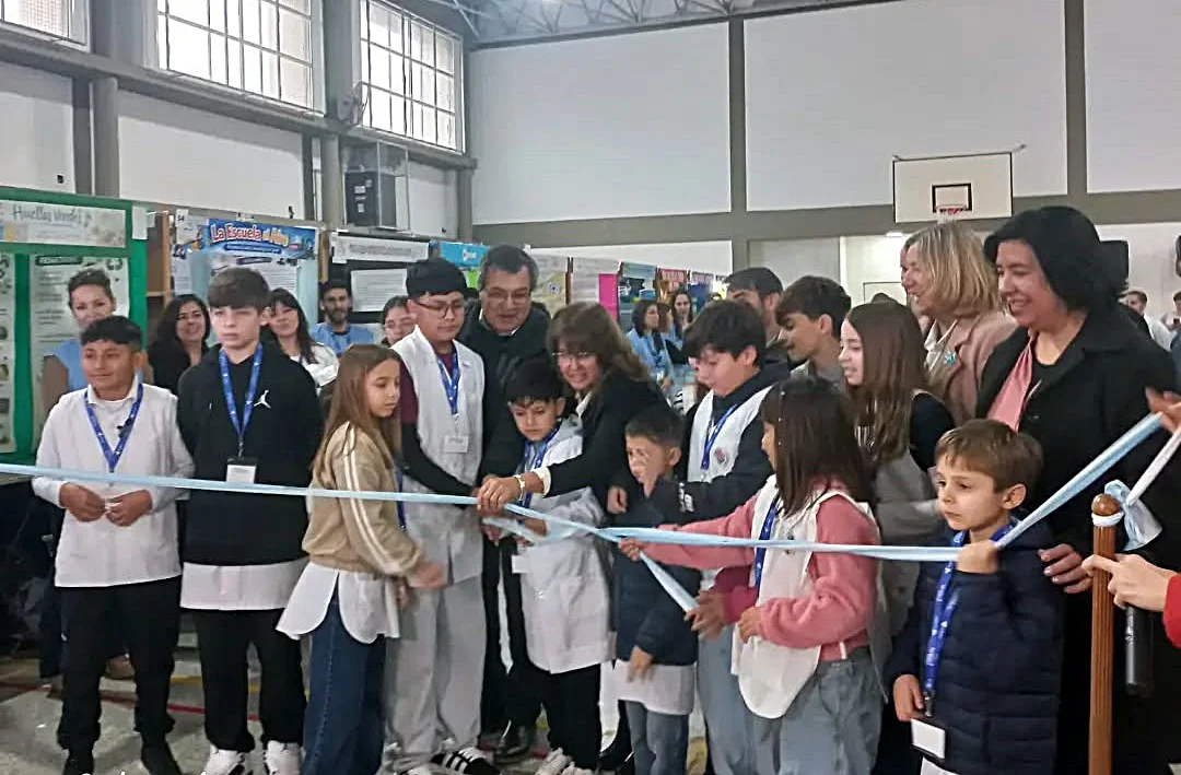 feria de ciencias escuela 34 5