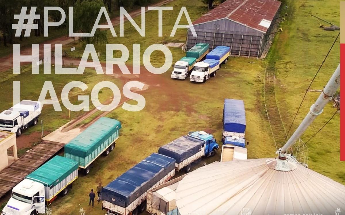 planta Hilario Lagos pp