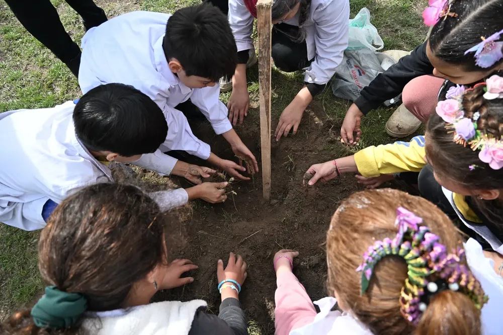 66c28fd1-d629-45b2-8280-a00ebb16313d