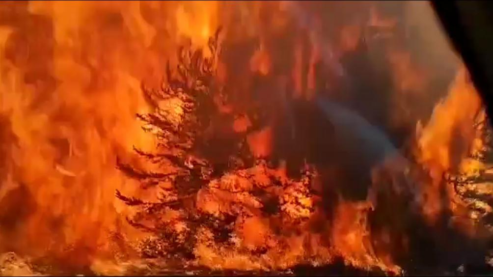 INCENDIOS cHUBUT