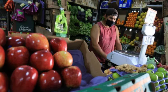 ALIMENTOS VERDURAS