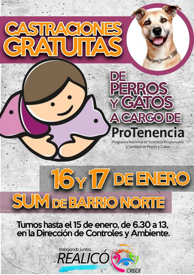 CASTRACIONES GRATUITAS
