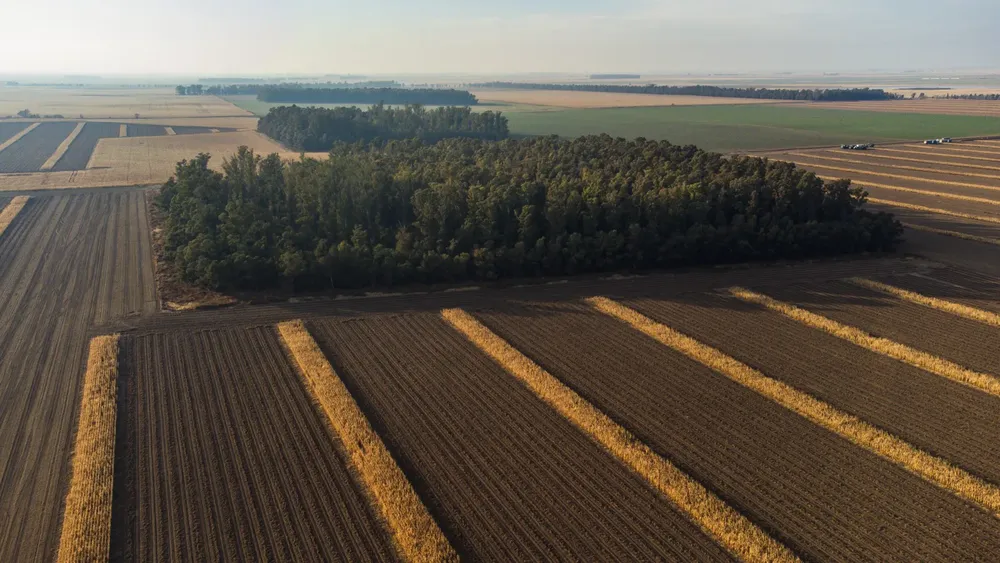 466019_img-20240403-wa0015