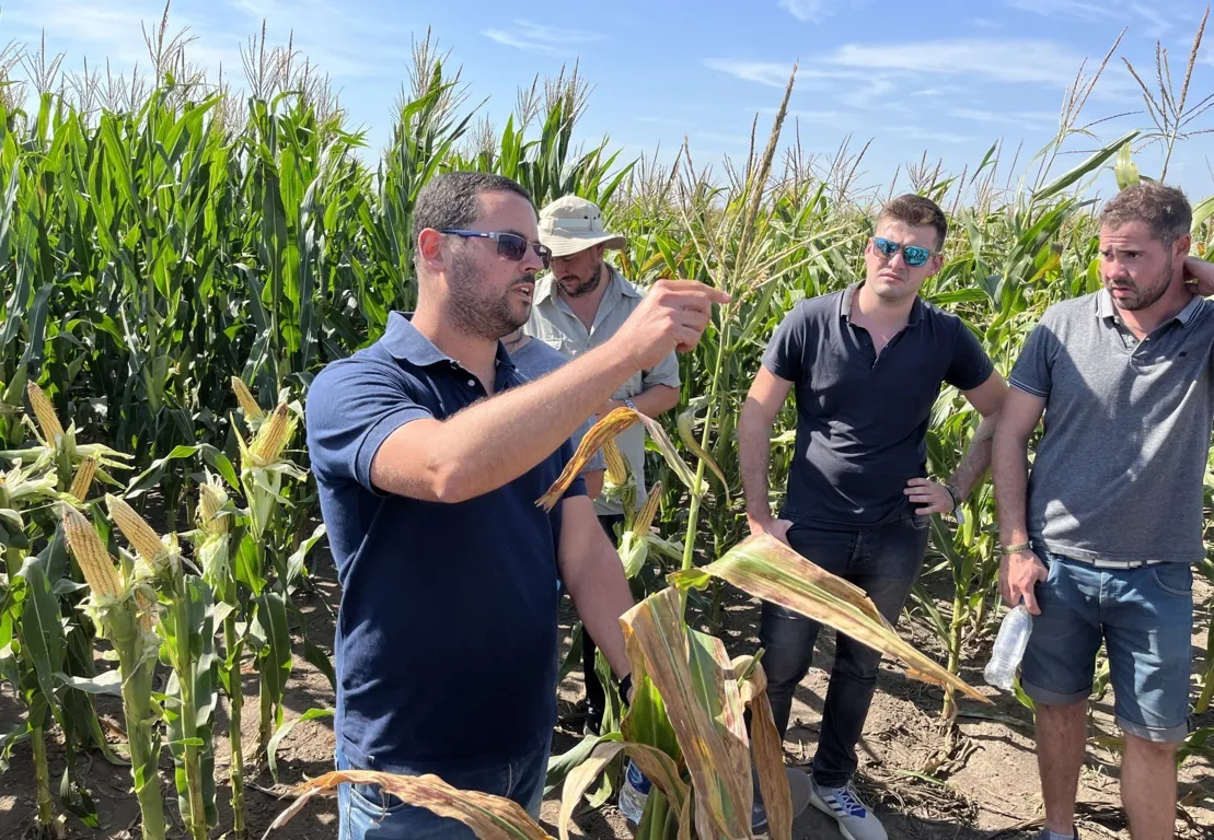 agronehuen 11 (FILEminimizer)