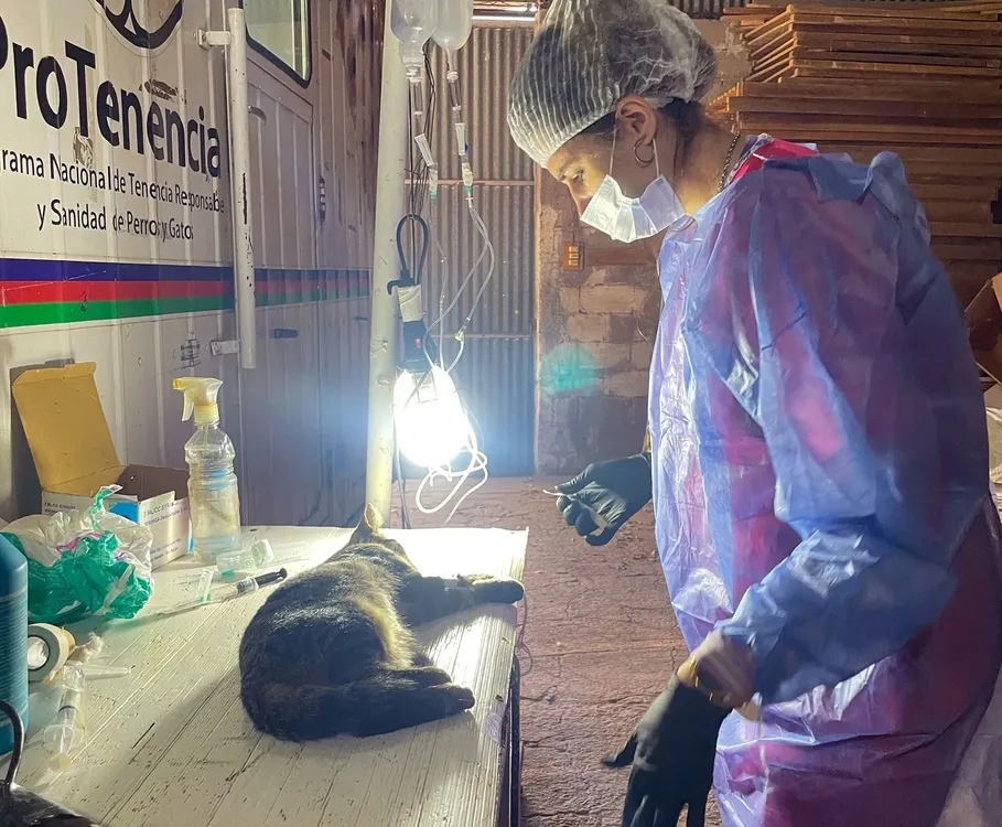 CASTRACIONES 1 (FILEminimizer)