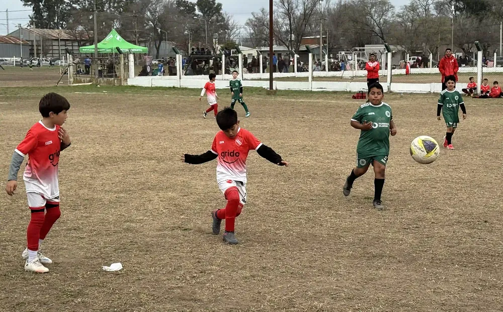 ferro el trencito 2026 7C