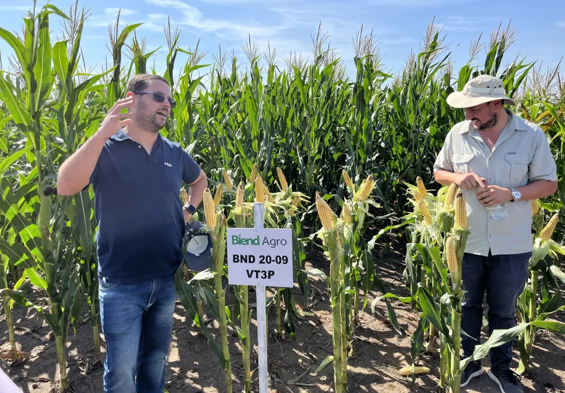 agronehuen 10 (FILEminimizer)