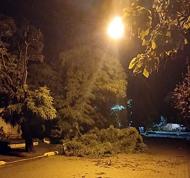 bf14ff6e-abbd-43b4-a2c5-f6a9b451a69f