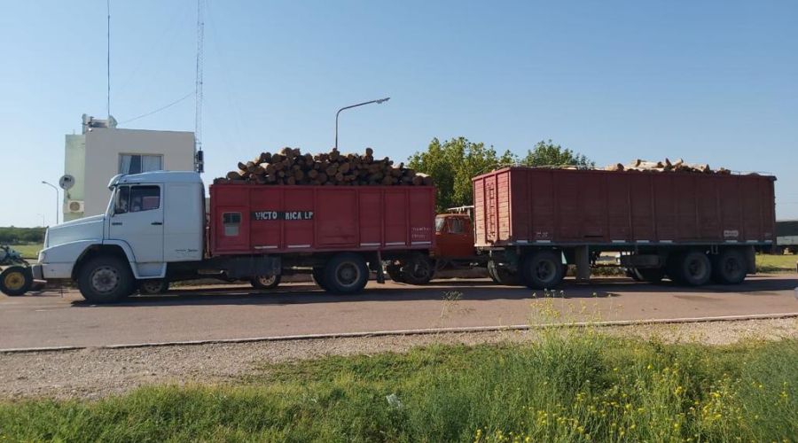 multimedia.normal.8520e5b1c60d7d55.63616d6361726761706f73746573735f6e6f726d616c2e6a7067