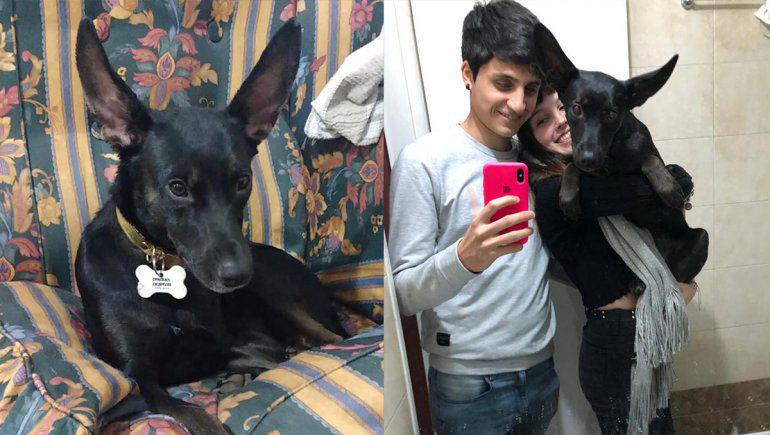 nala perra 3