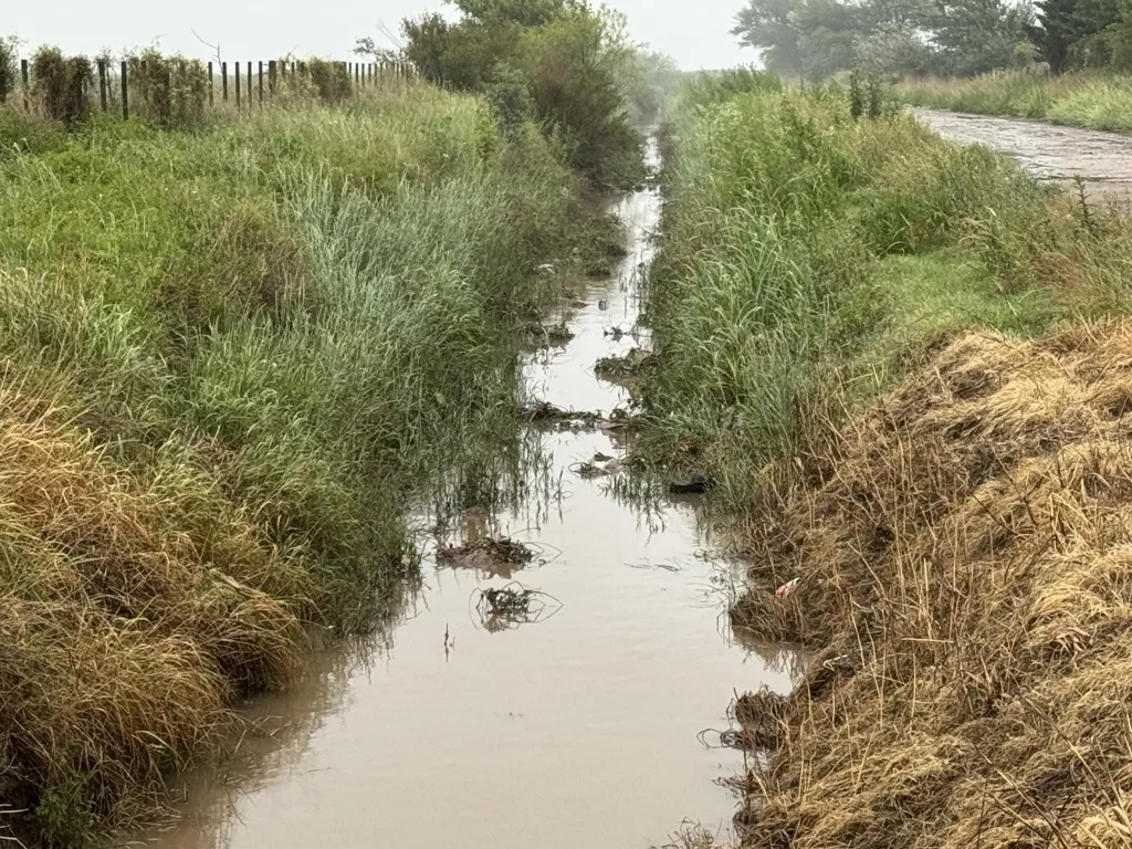 CANAL RIVADAVIA 1 FILE