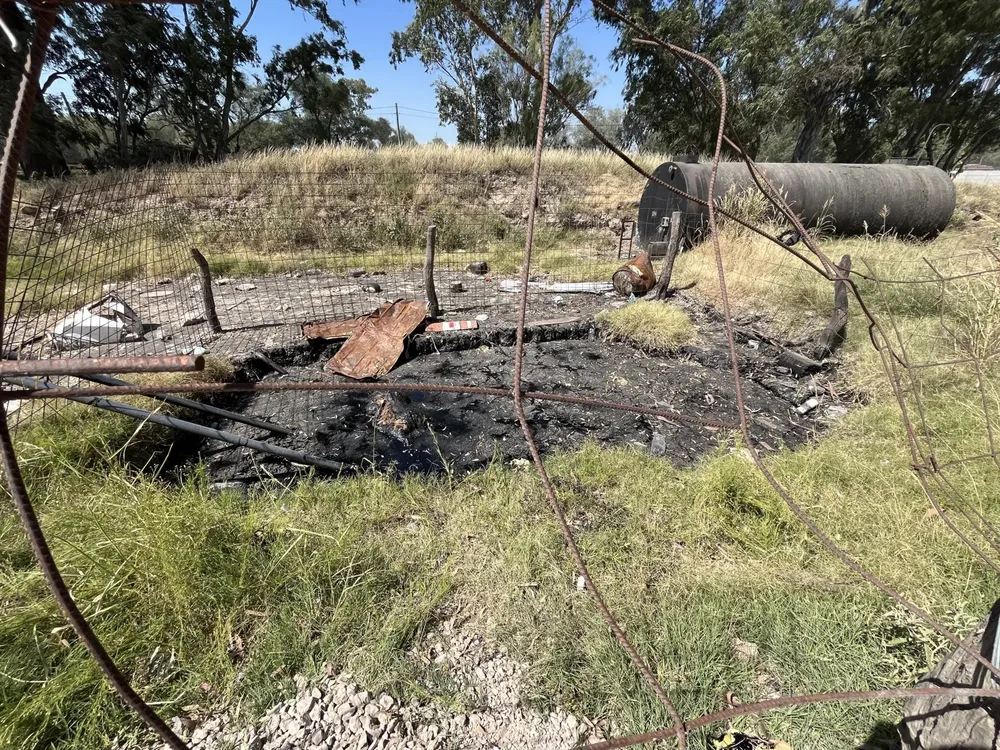 rescate perro 4 (FILEminimizer)