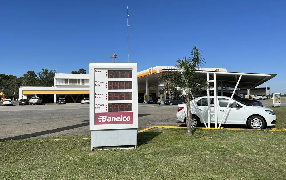 CARTEL SHELL RUTA (FILEminimizer)