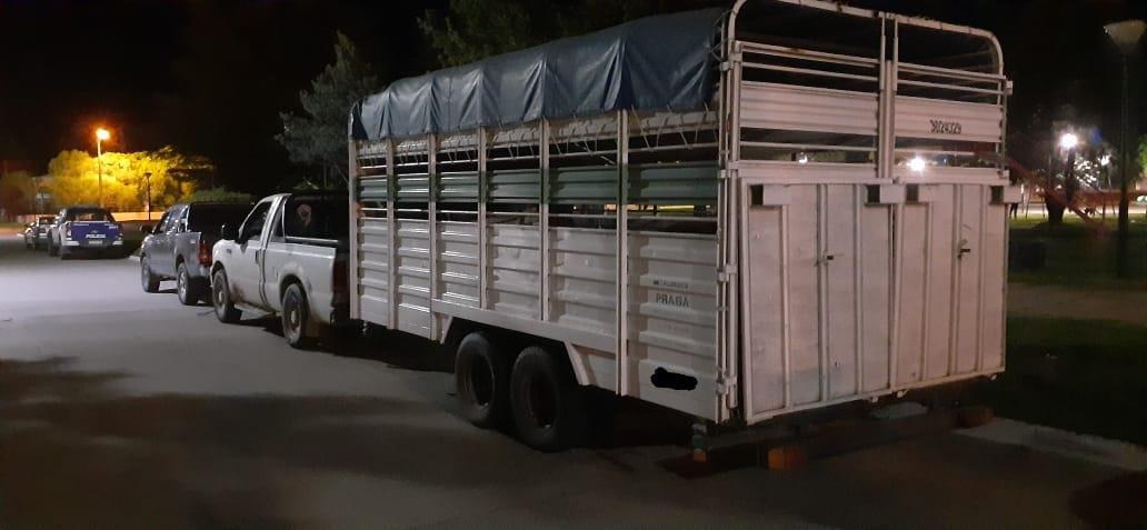 camionetas