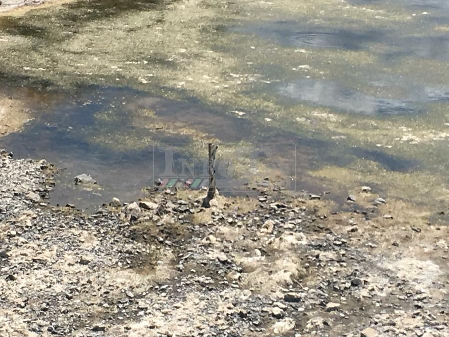 27332660_10211256637271729_6700845559476103584_n