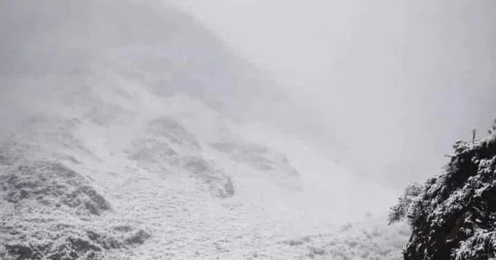 COMECHINGONES NEVADAS 3