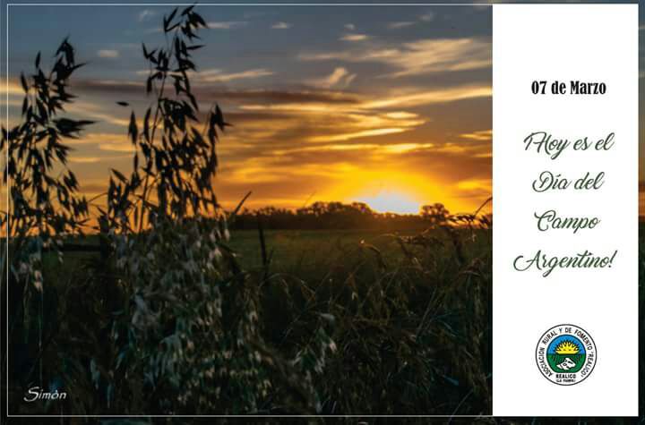 DIA DEL CAMPO ARGENTINO