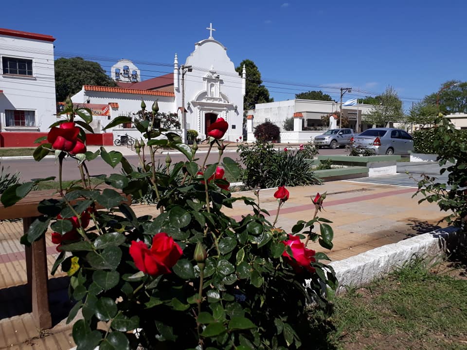 ROSAS 14