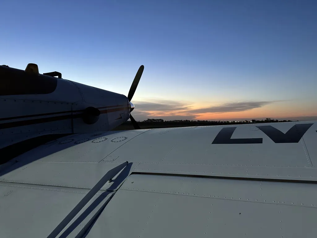 trombetta picos 2 FILE