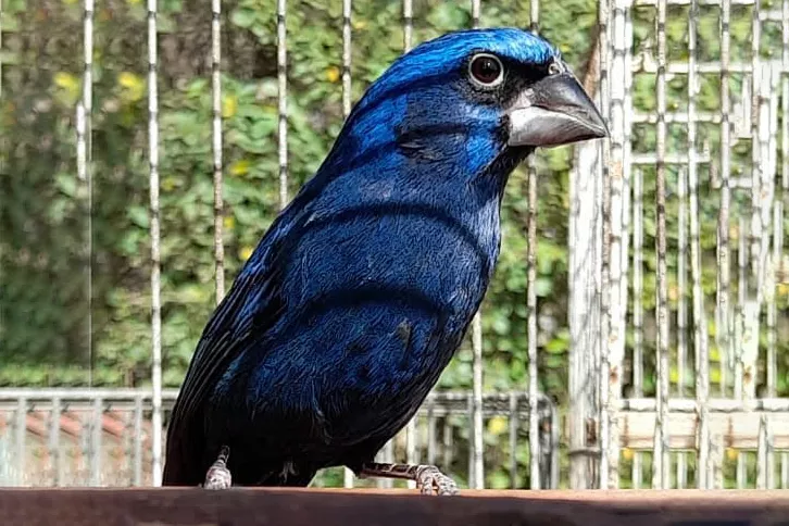 IMG-20220729-WA0026-1