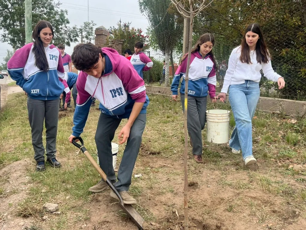 IPSF ARBOLES 12 (FILEminimizer)