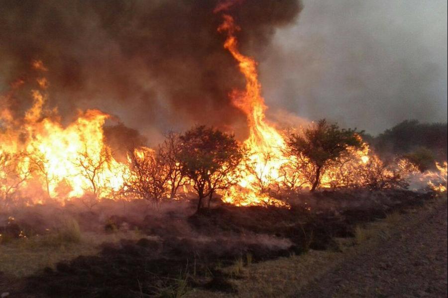 INCENDIO LA PAMPA