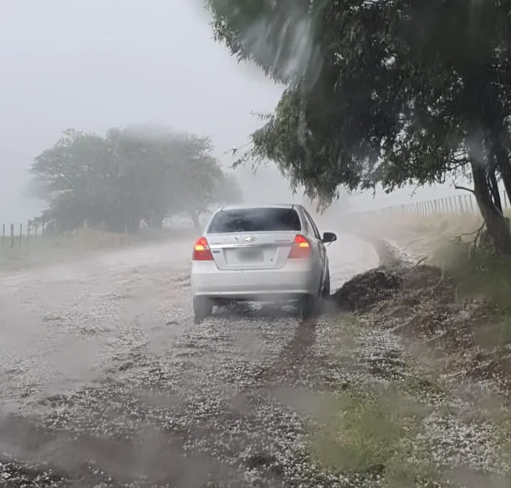 d60ef3a2-b4bc-4245-a9d0-89b46d8145f8