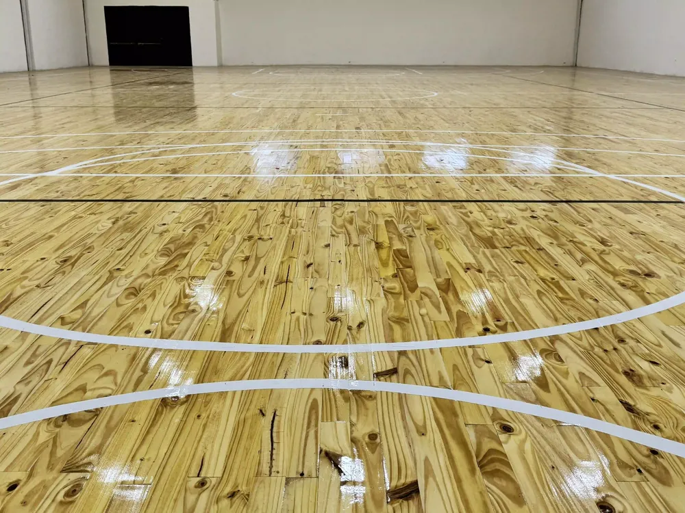 sportivo gimnasio raul rizzo 2c