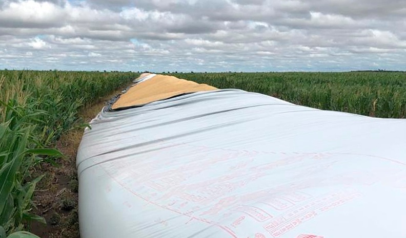 Jovita-web.jpg_57698320