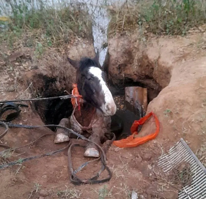 20d97c61-ecd6-4dfd-a0d6-e203120e1725