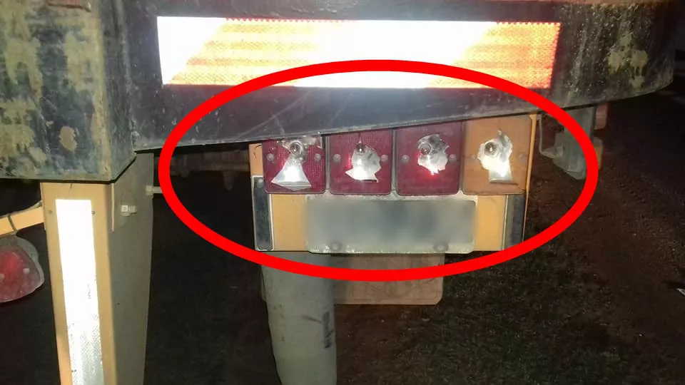 246173384_4362216157166046_2322350534629021327_n