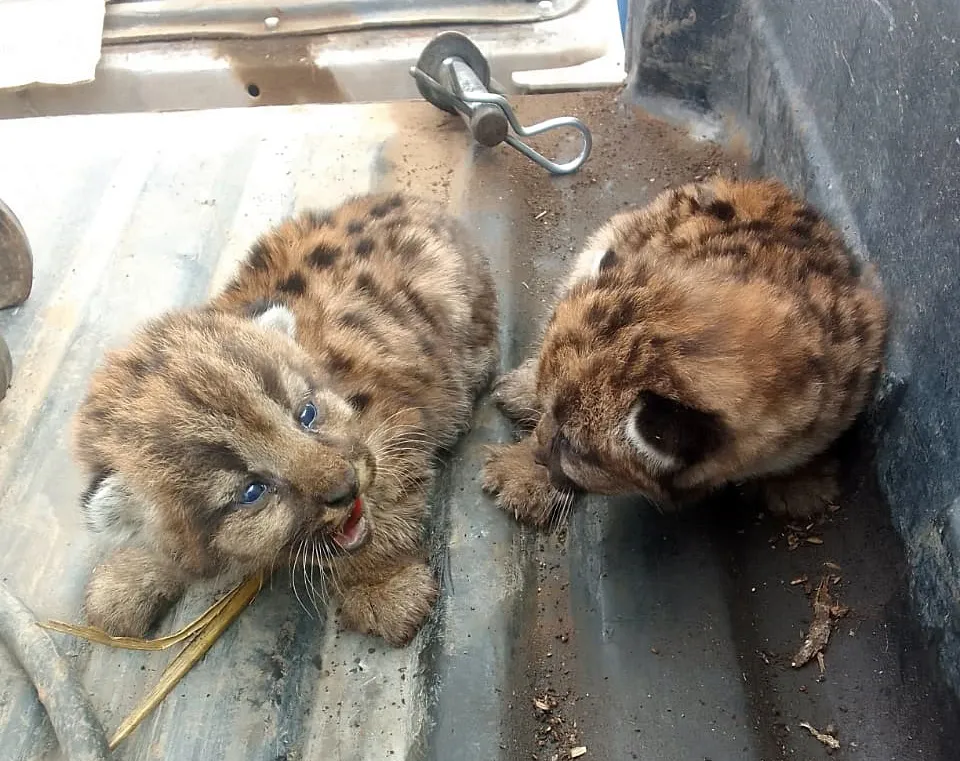 87fc3410-c4c2-4901-9a31-da75db98ac64