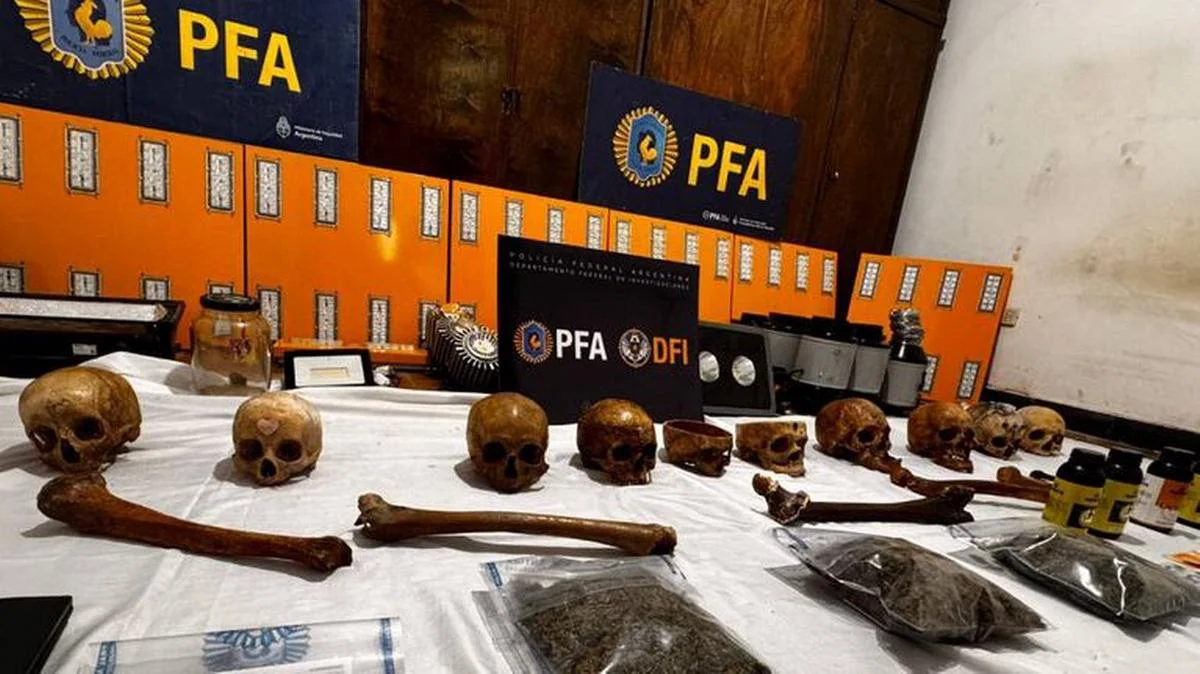 En el operativo los policías secuestraon marihuana y craneos, ademas de dos cachorros de pitbull.