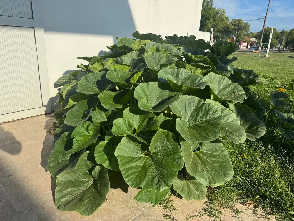 D3F34361-160B-448C-B490-D370E522B877