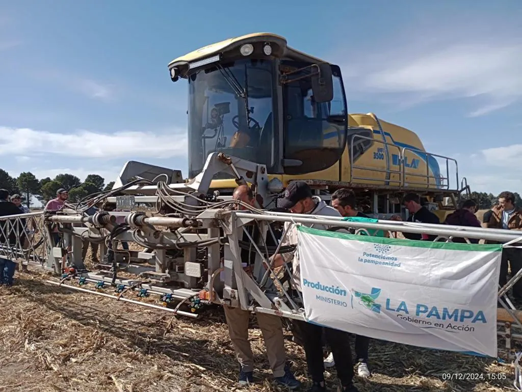 198249_1d999583-8066-4c88-bdef-08a166d19b94 (FILEminimizer)