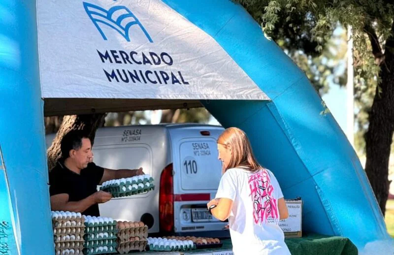 mercado municipal 5