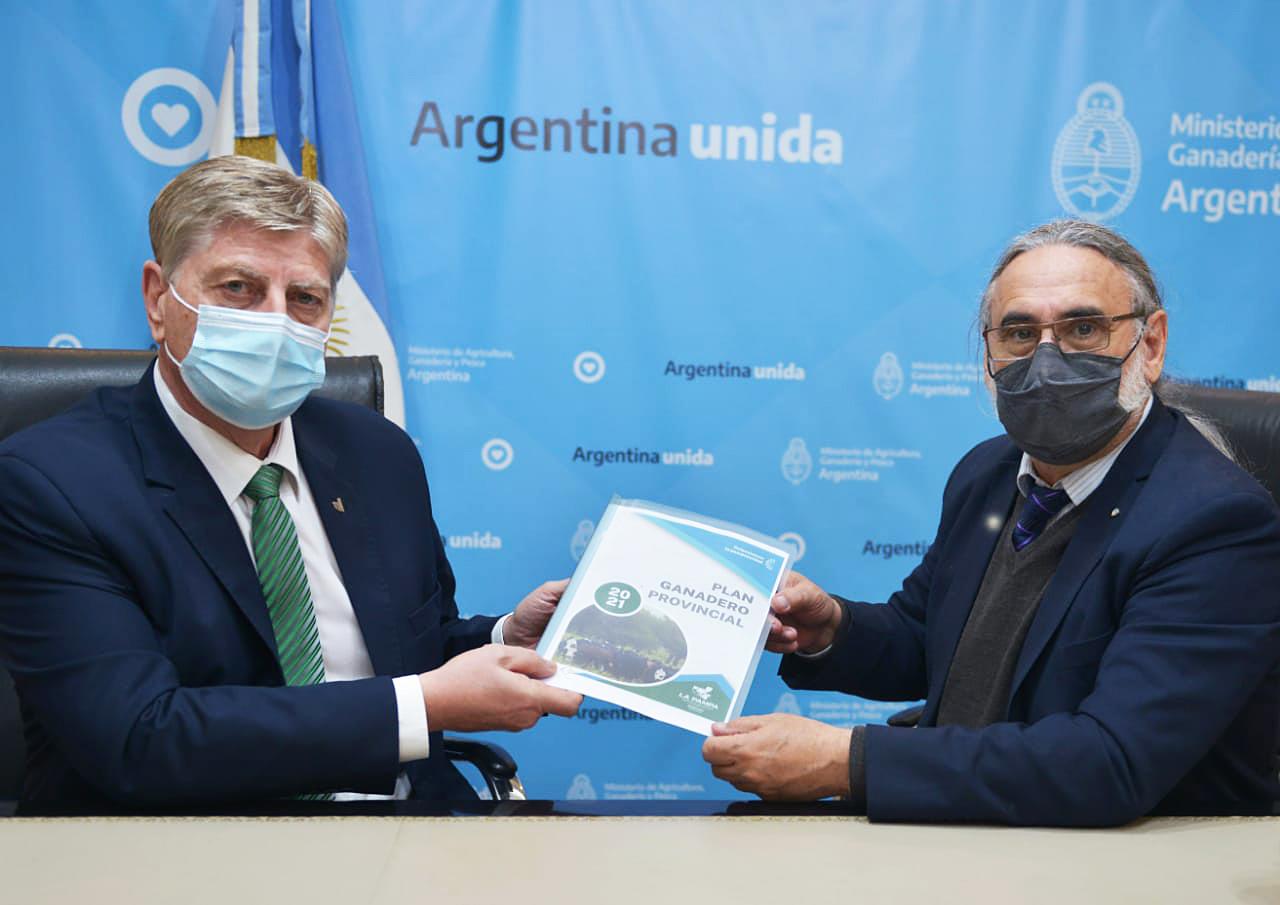 PLAN GANADERO PROVINCIAL