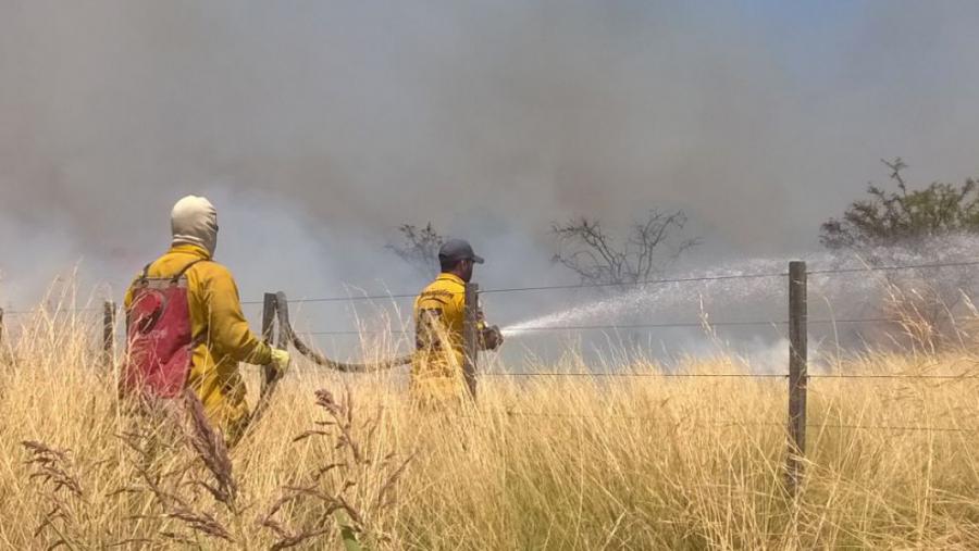 Bomberos incendio rural