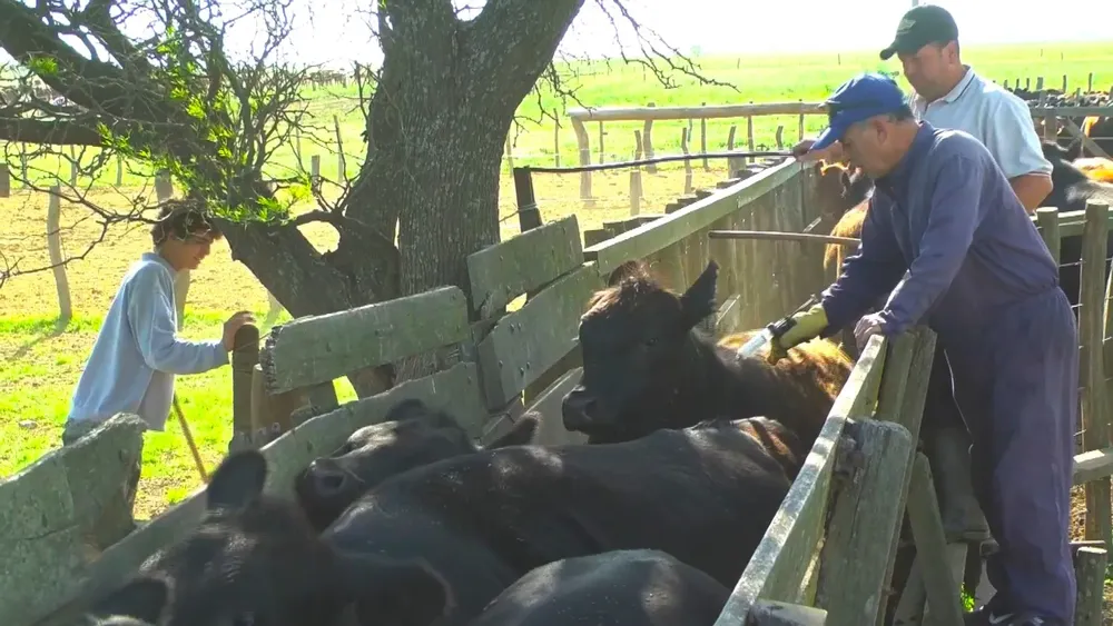 362601_whatsapp-image-2023-09-15-at-14.19.33