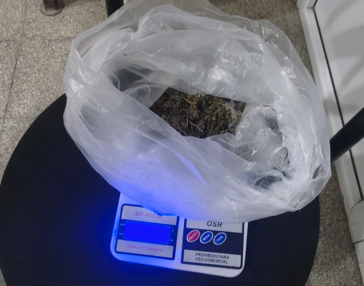 marihuana  italo