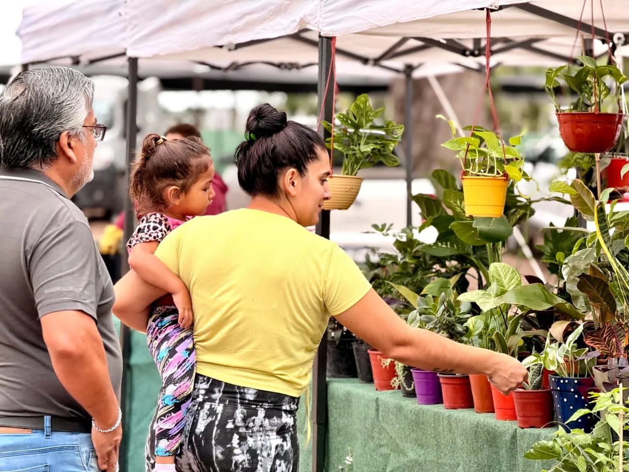 mercado municipal plantas