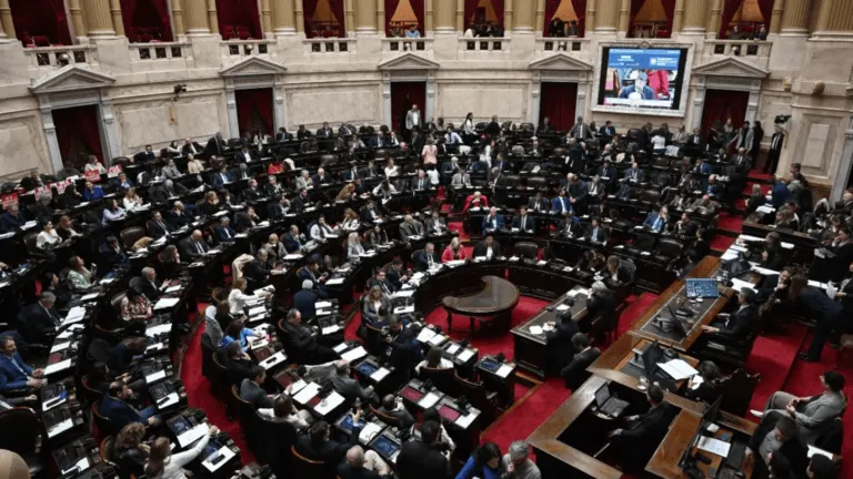 diputados_aprob-_la_nulidad_del_veto_presidencial_a_la_ley_de_emergencia_discapacidad_1_-1-.png_300650649