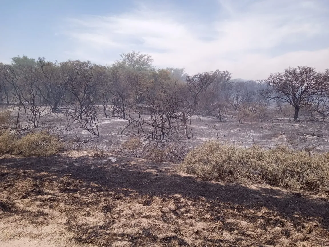INCNEDIO FORESTAL