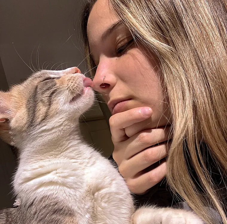 GATITA PIMIENTA PALMES