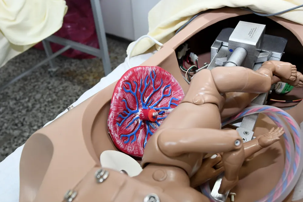Medicina 3