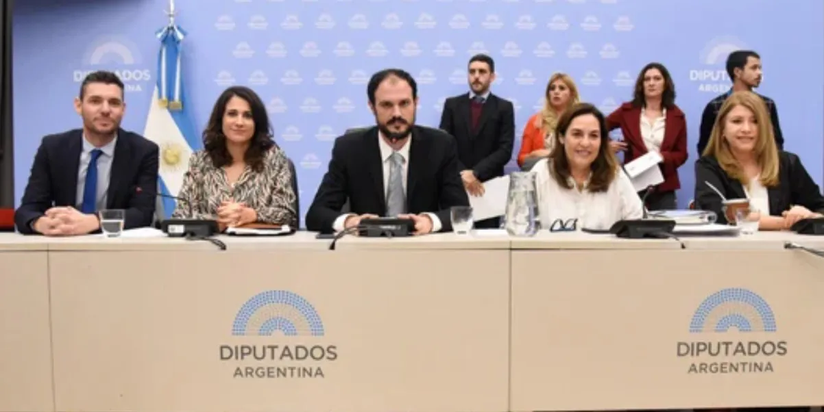 plenario de comisiones